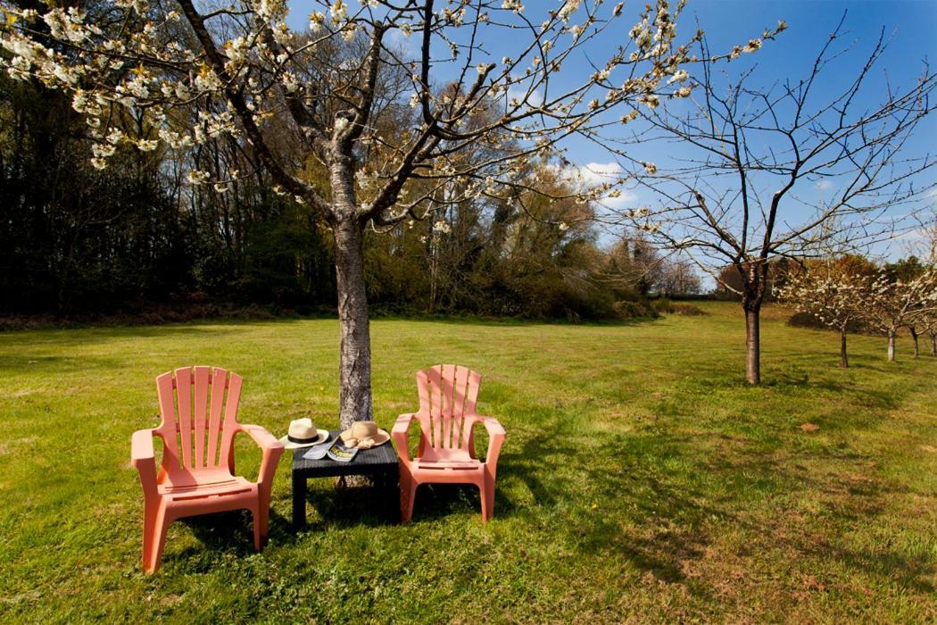 Stone Cottage With Modern Cosy Interior Near To Josselin Perfect Retreat For Writers Or Star Gazers Guégon Esterno foto